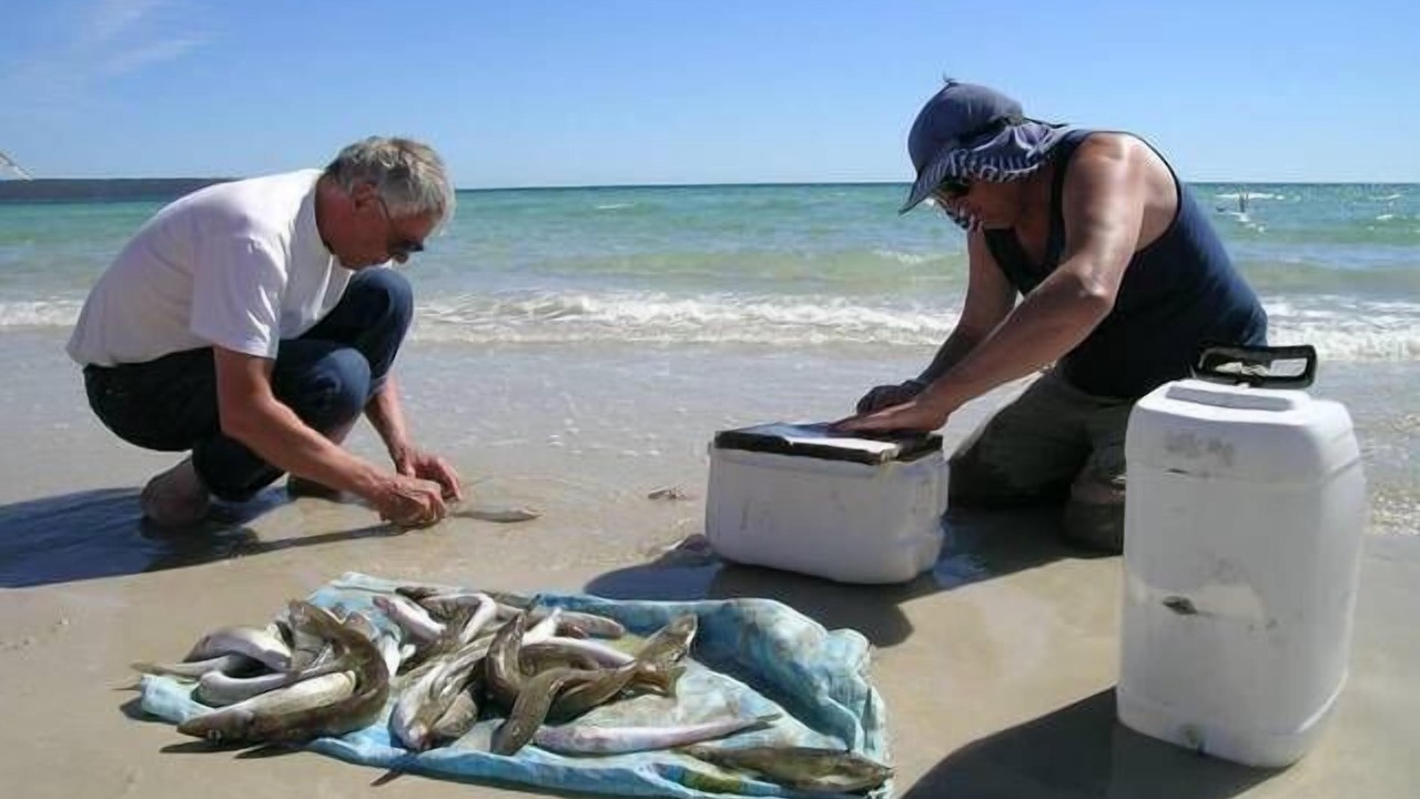 Photo of Others in Island Beach