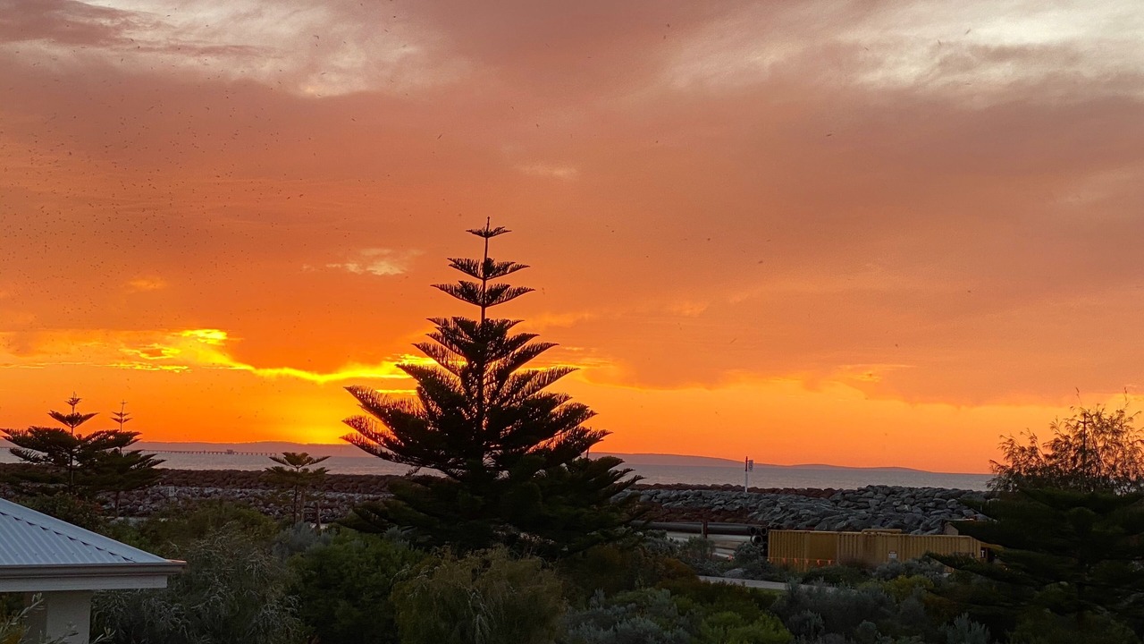 Photo of Outdoor in Geographe