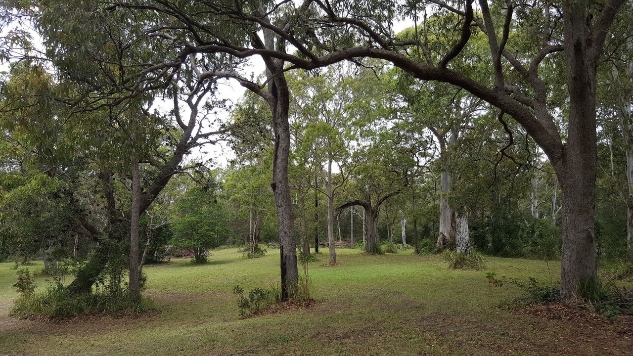 Photo of Outdoor in Fishermans Reach