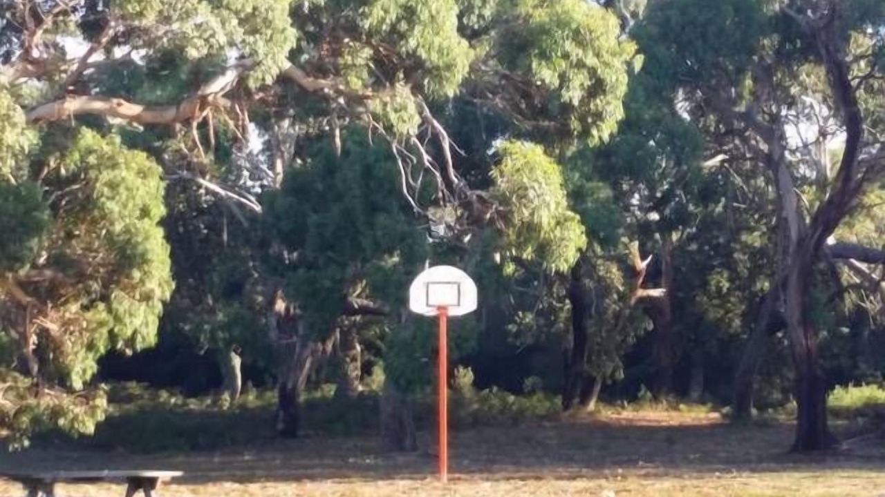 Photo of Outdoor in Robertsons Beach