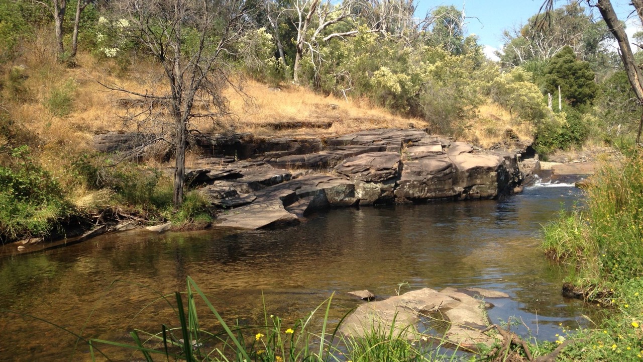 Photo of Outdoor in Sawmill Settlement