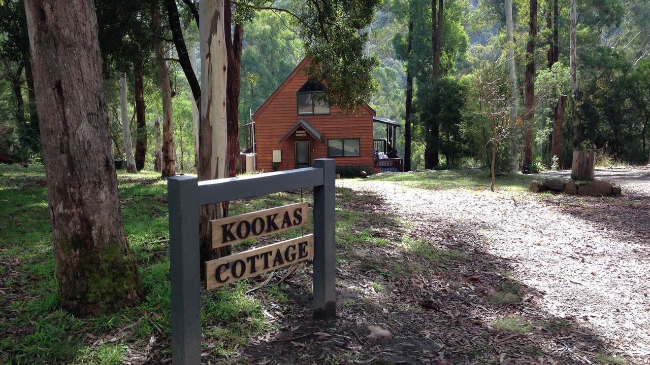 Photo of Outdoor in Sawmill Settlement