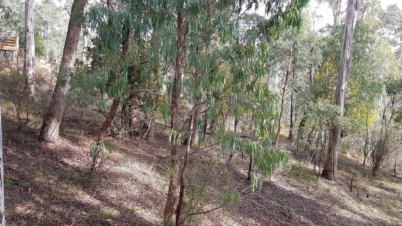 Photo of Outdoor in Sawmill Settlement