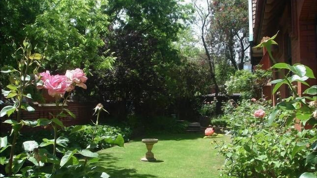 Photo of Outdoor in North Adelaide
