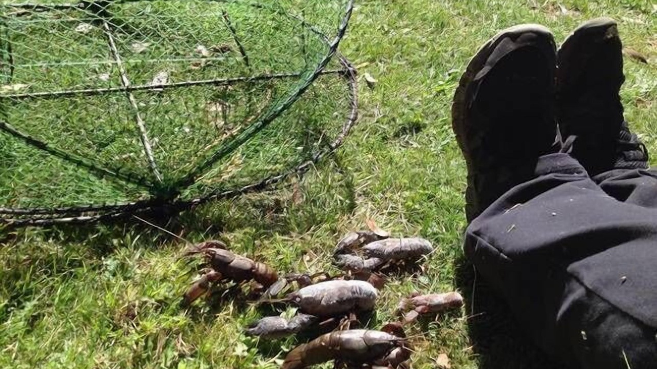 Photo of Outdoor in Anglers Reach