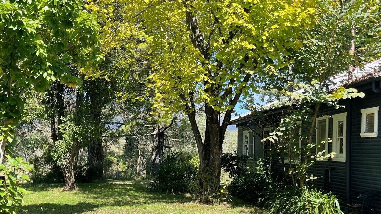 Photo of Outdoor in Megalong Valley