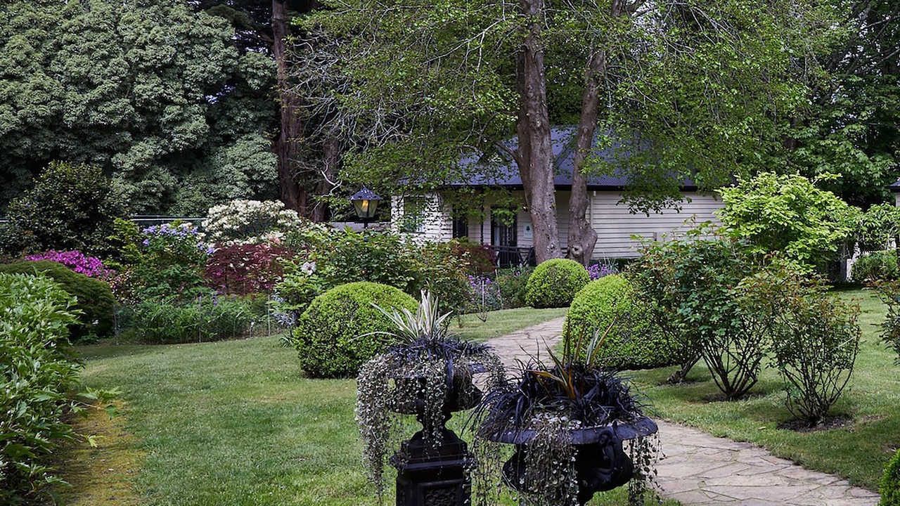 Photo of Outdoor in Sassafras