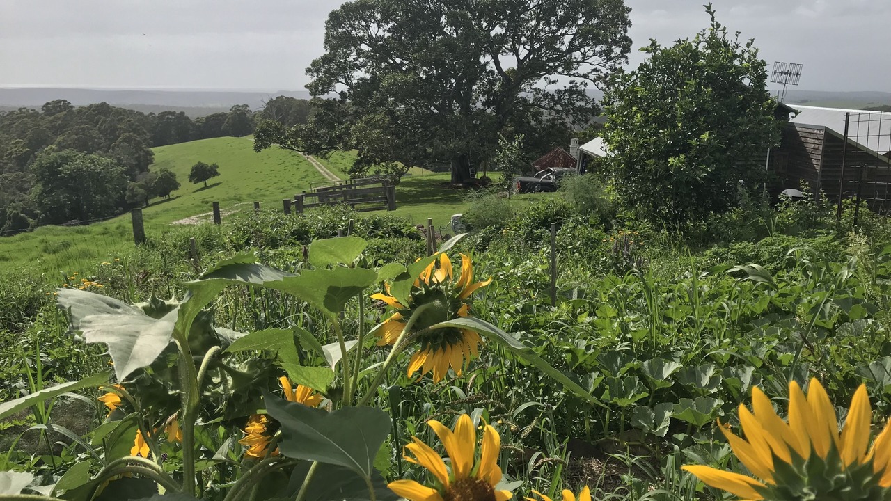 Photo of Outdoor in Little Forest