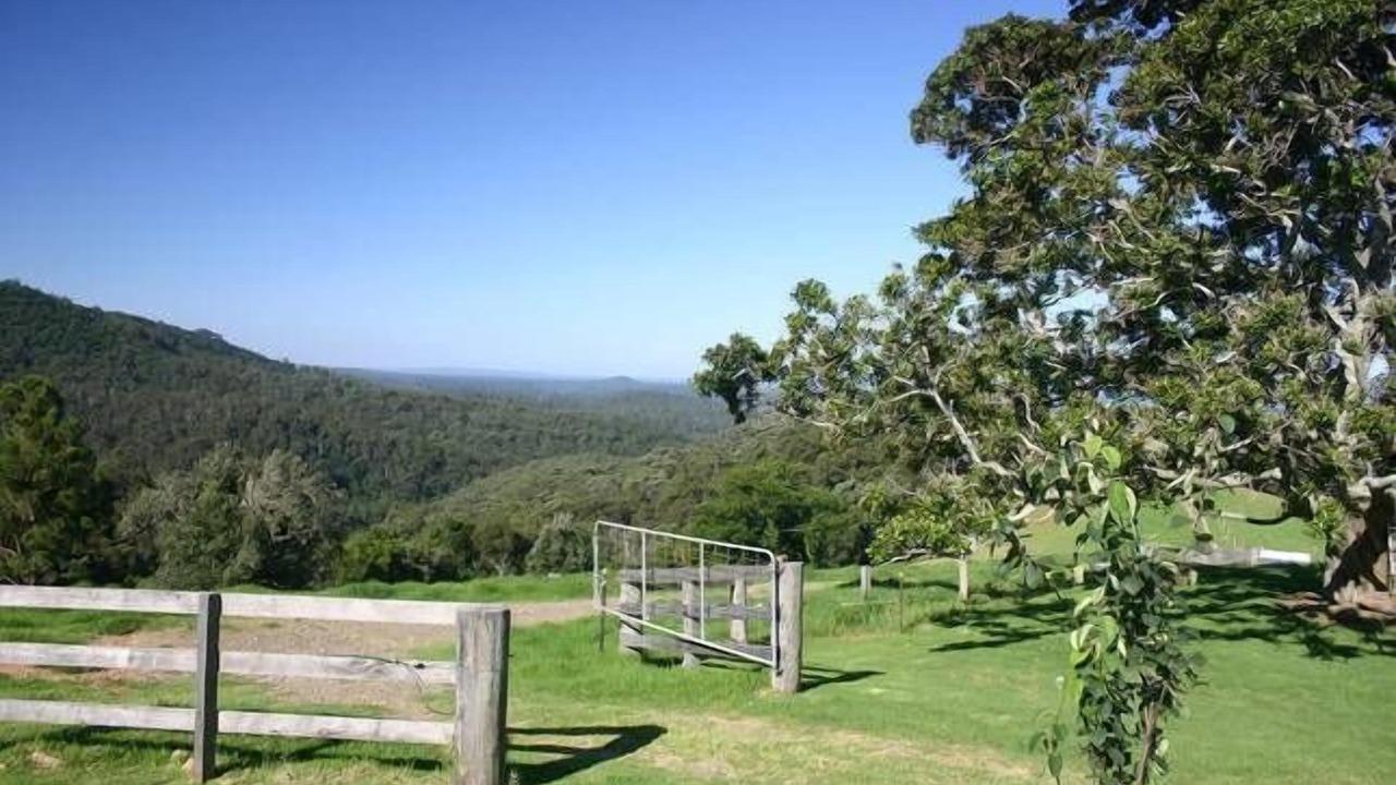 Photo of Others in Little Forest