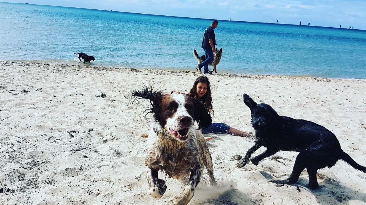 Photo of Others in St. Andrews Beach
