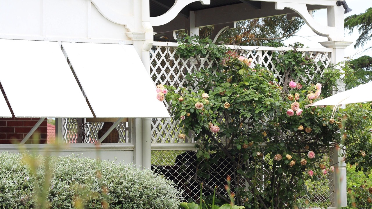 Photo of Outdoor in Canowindra