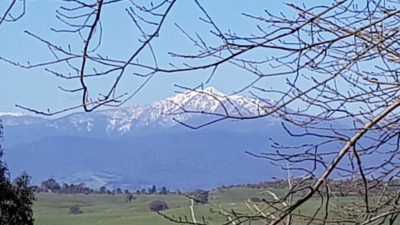 Photo of Others in Mount Buller