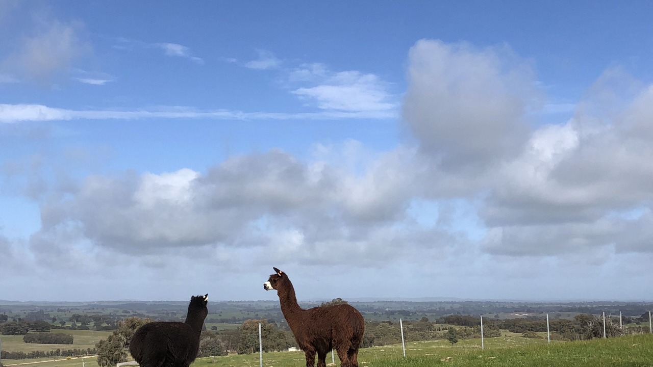 Photo of Outdoor in Heathcote South