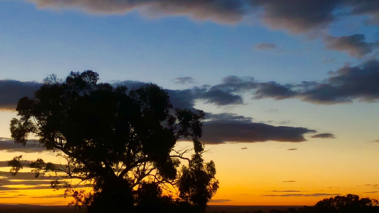 Photo of Others in Heathcote South