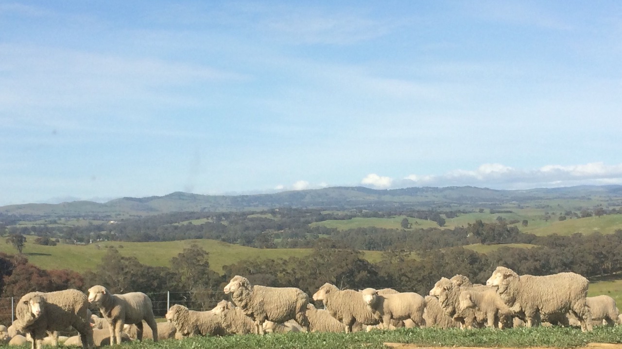 Photo of Outdoor in Heathcote South
