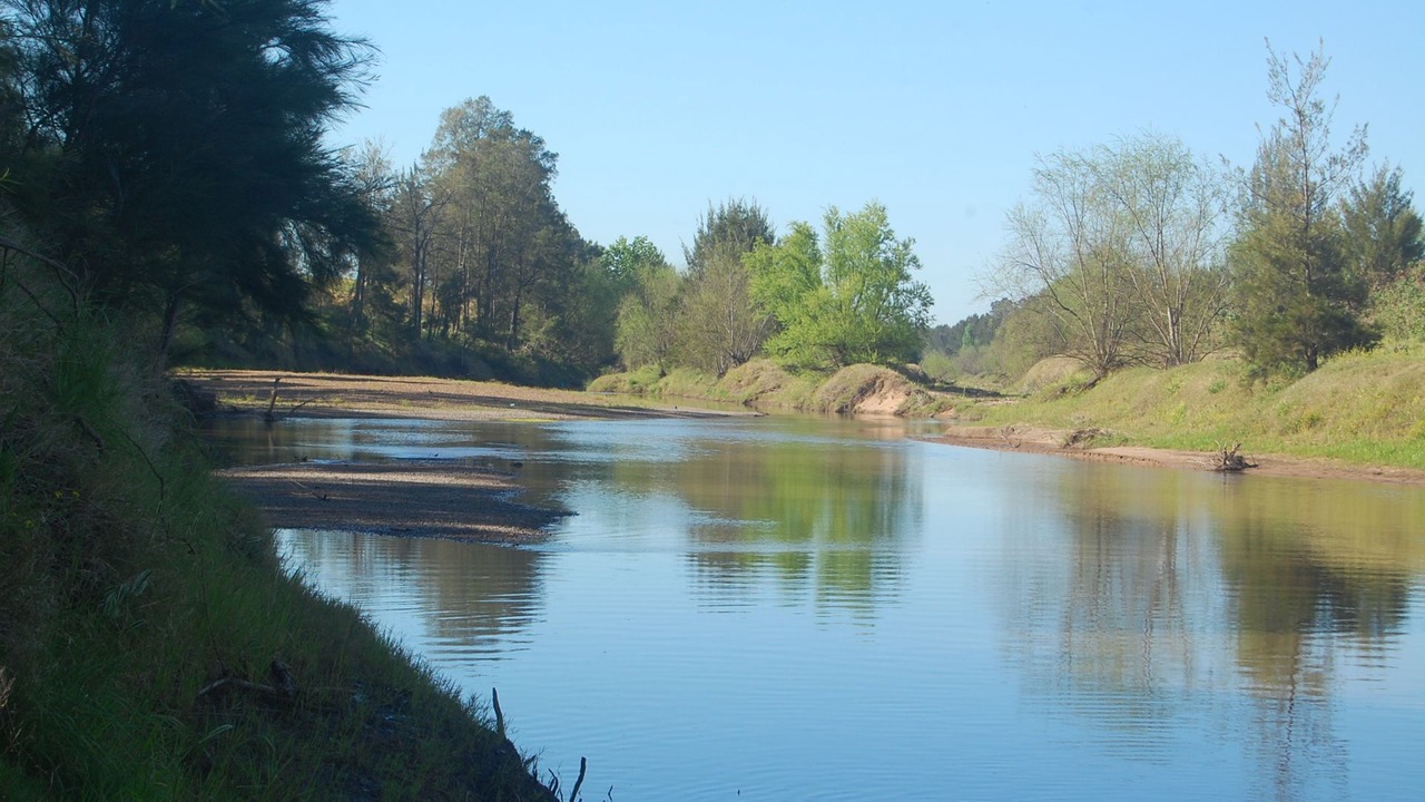 Photo of Others in Rosebrook