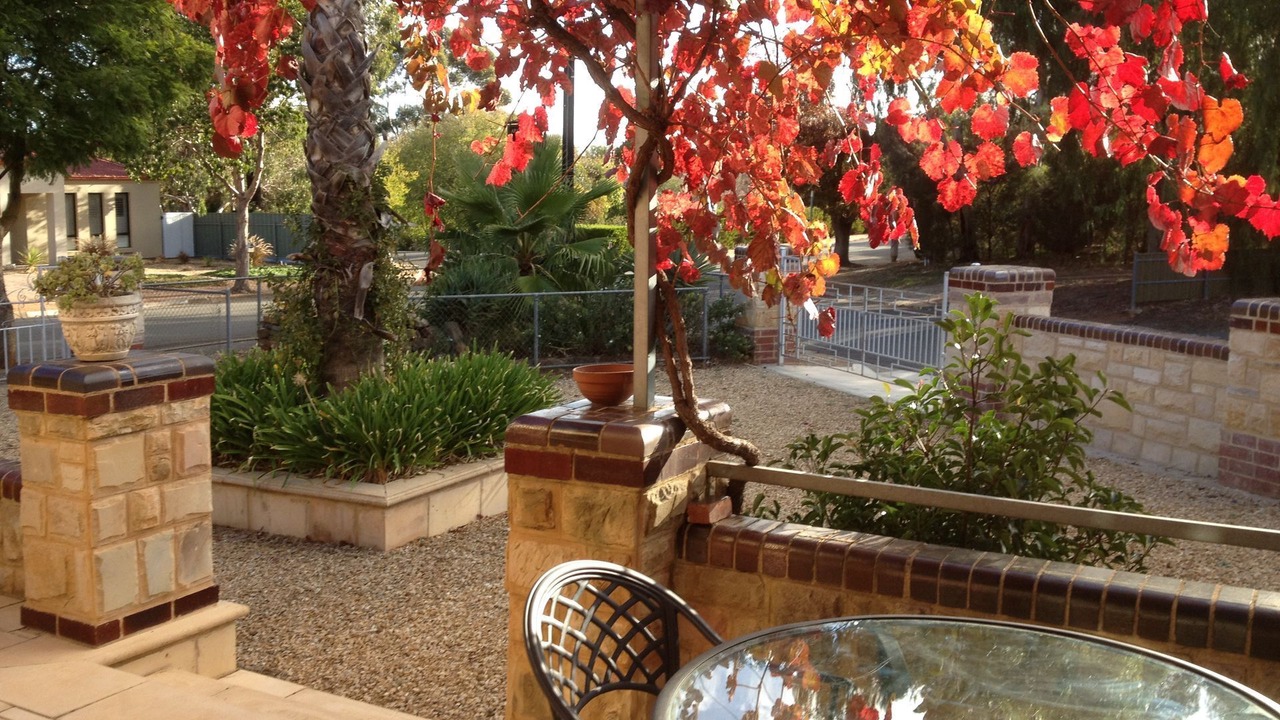 Photo of Patio Balcony in Tanunda