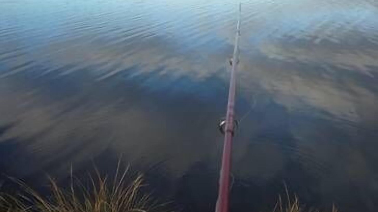 Photo of Others in Little Pine Lagoon