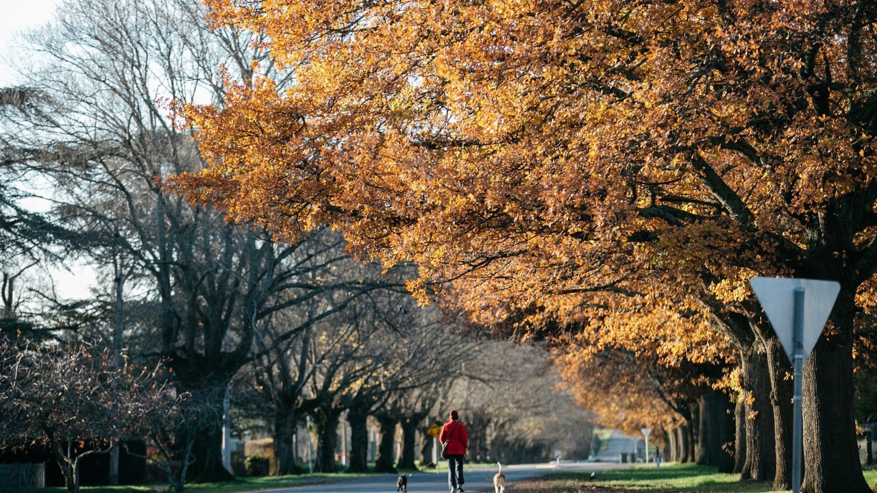 Photo of Outdoor in Kyneton