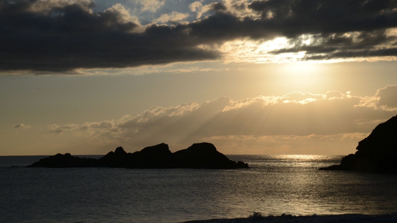 Photo of Others in Seal Rocks