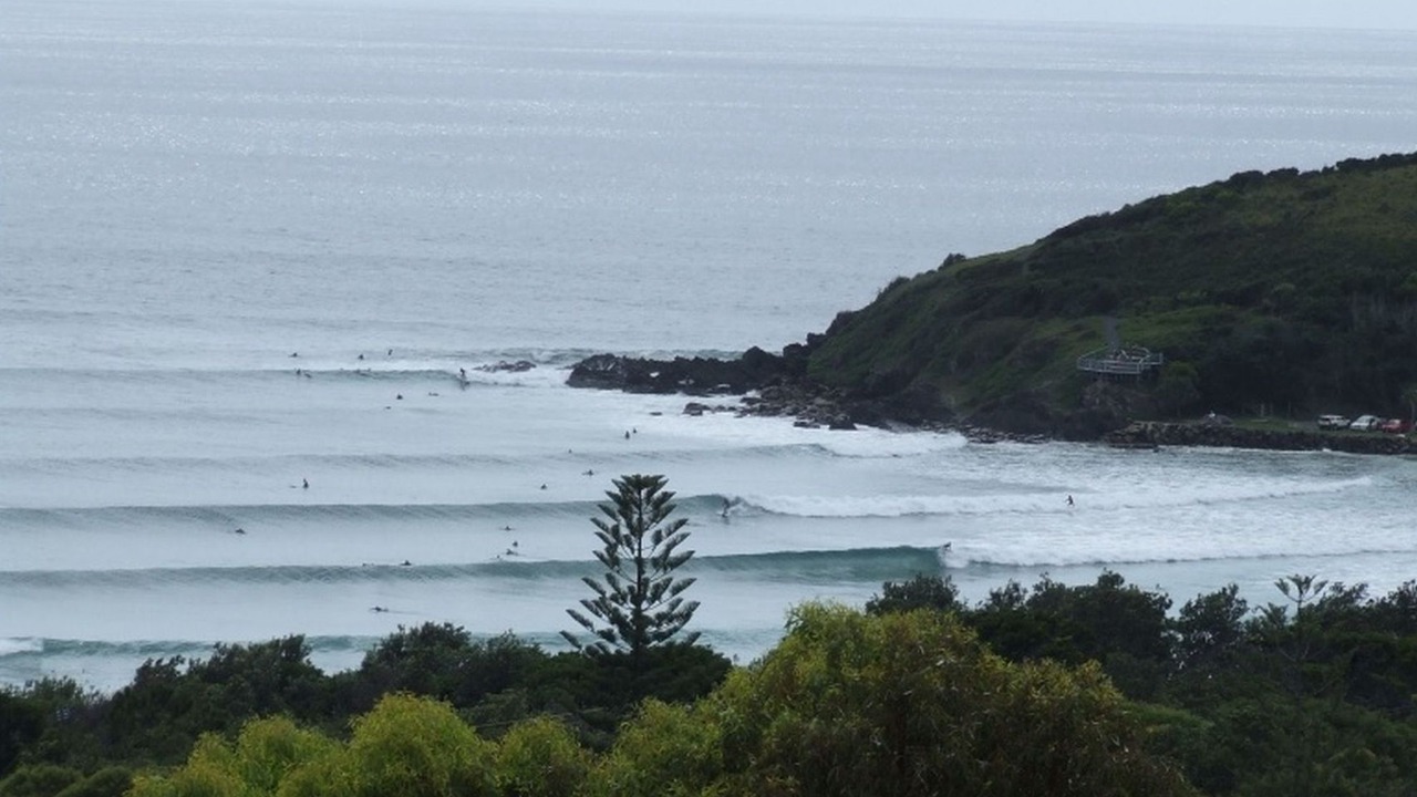 Photo of Others in Scotts Head