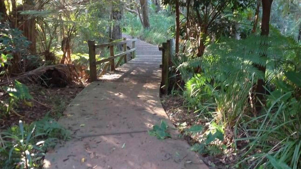 Photo of Outdoor in Port Macquarie