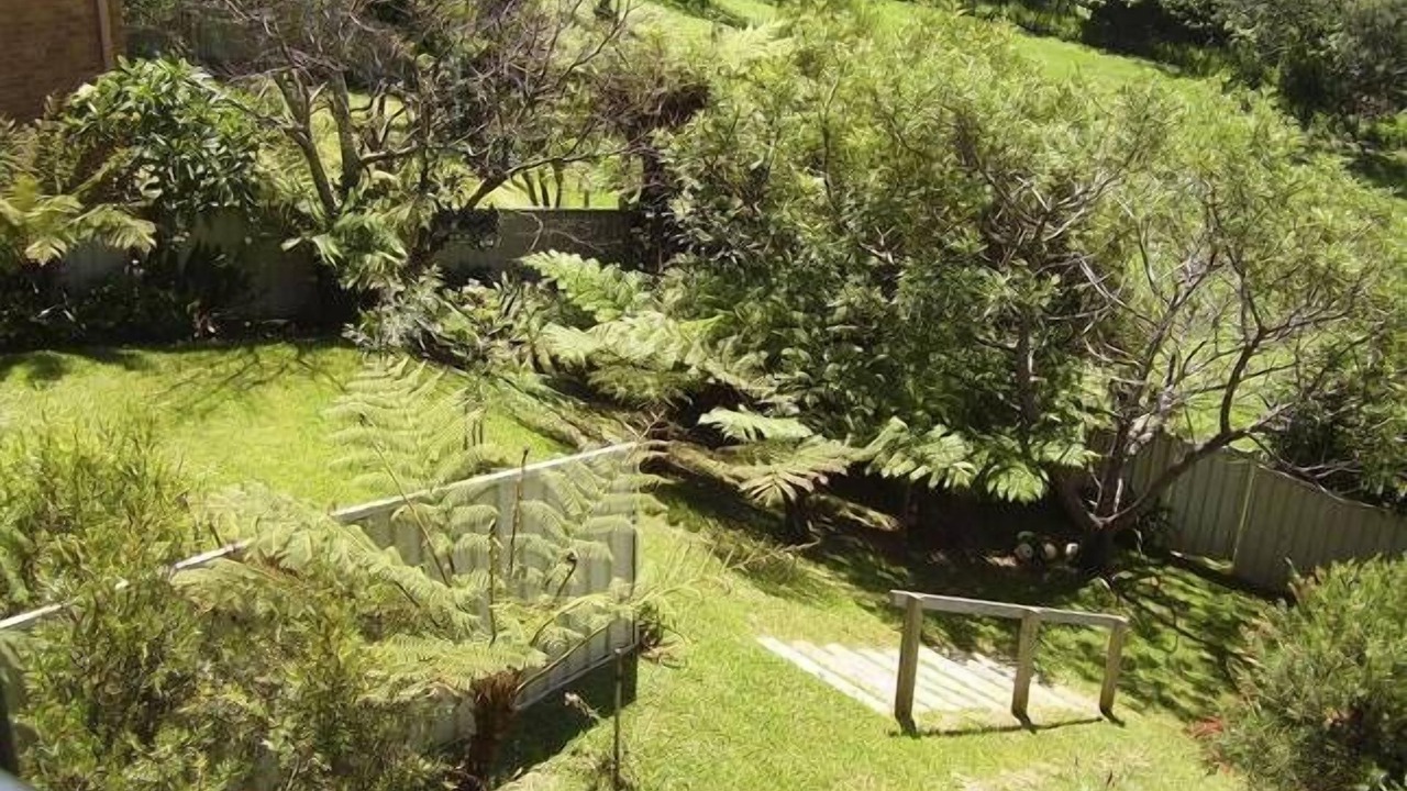 Photo of Outdoor in Port Macquarie