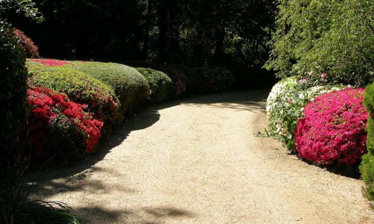 Photo of Outdoor in Mount Wilson