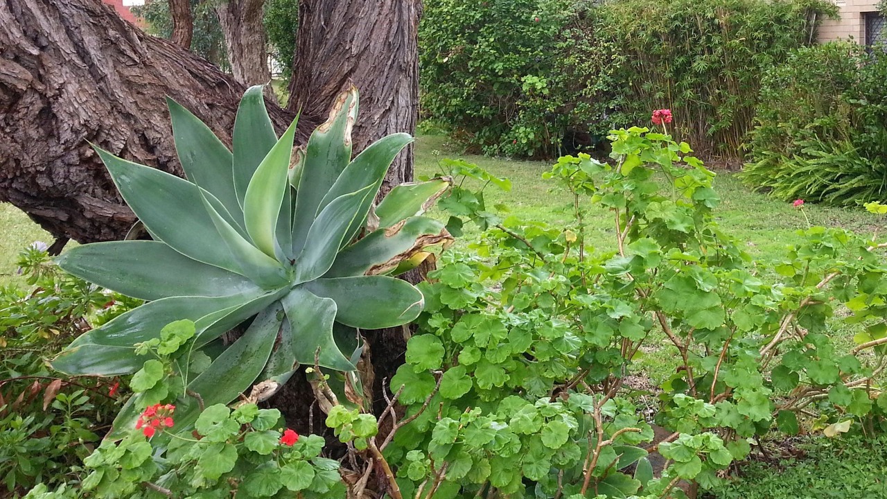 Photo of Outdoor in Maylands