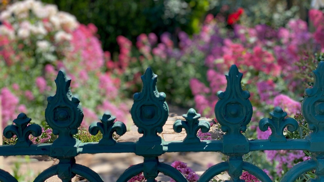 Photo of Outdoor in Tanunda
