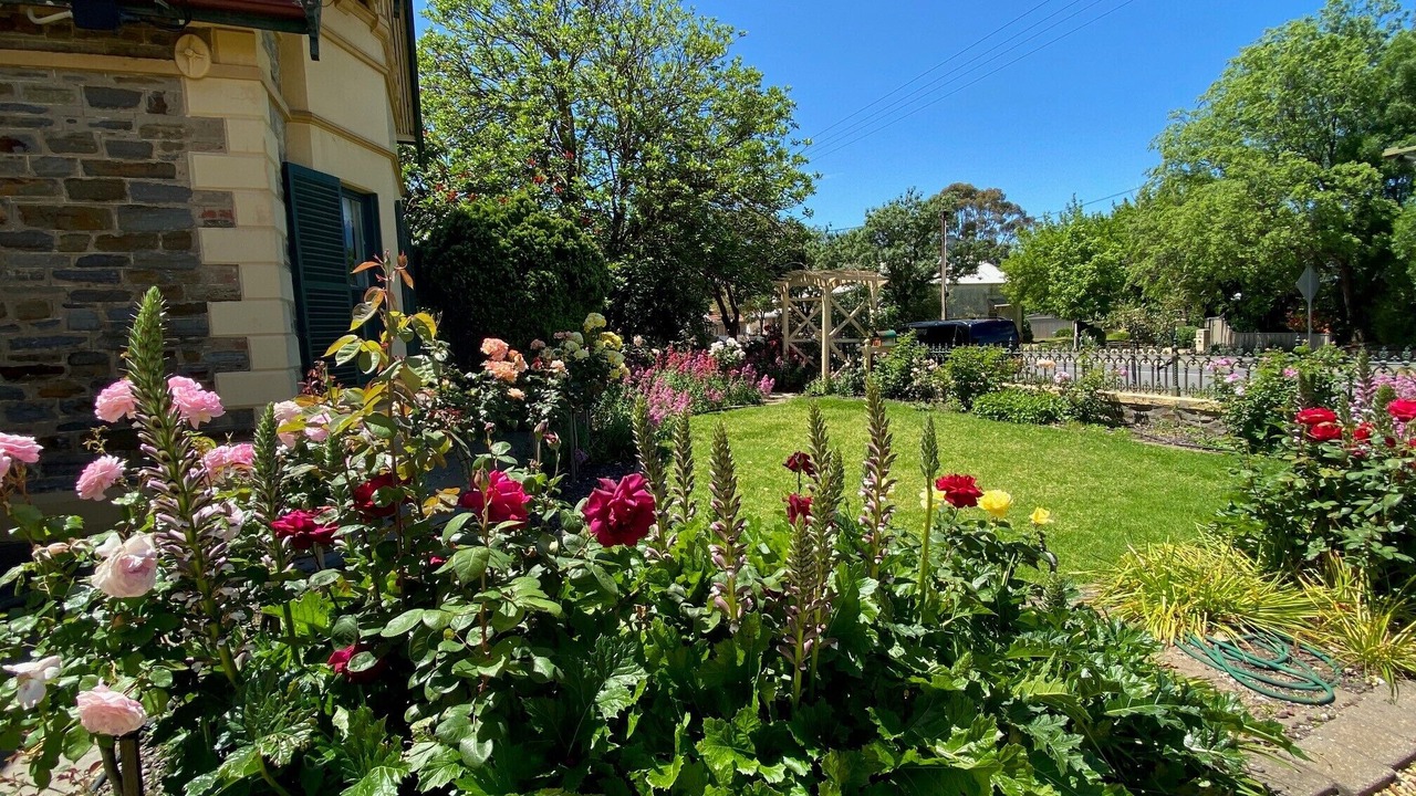 Photo of Outdoor in Tanunda