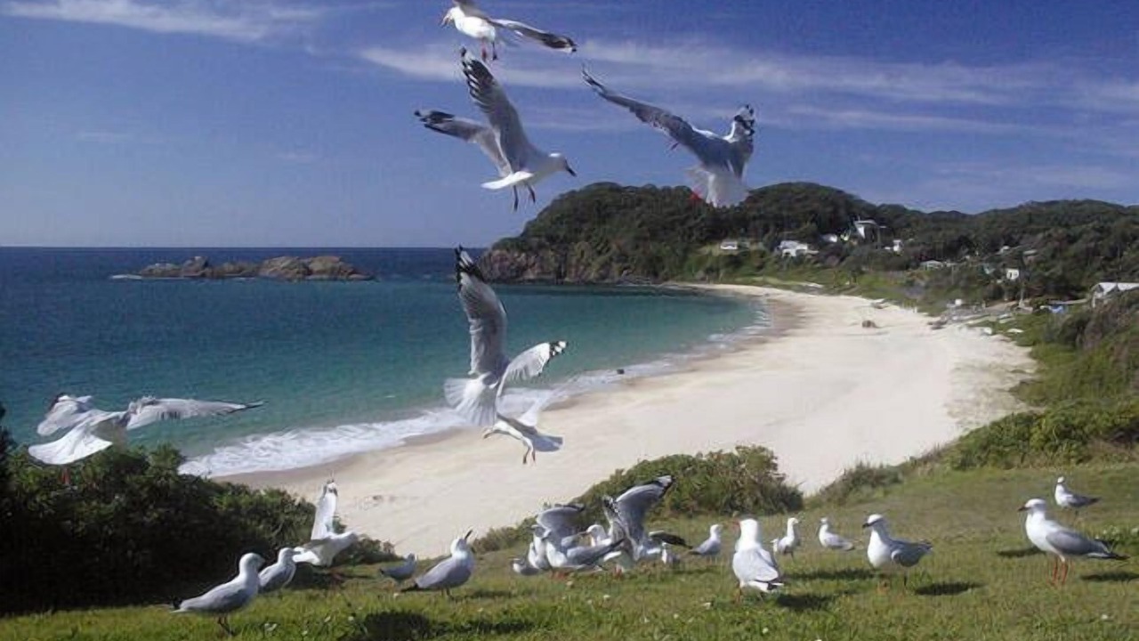 Photo of Others in Green Point