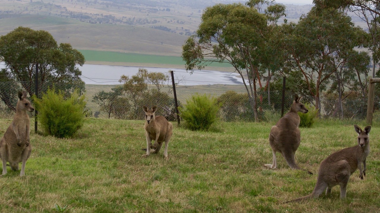 Photo of Outdoor in Berridale
