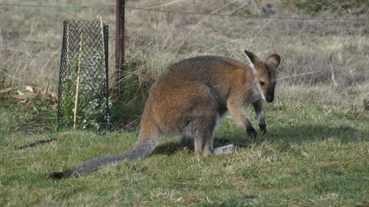 Photo of Outdoor in Berridale