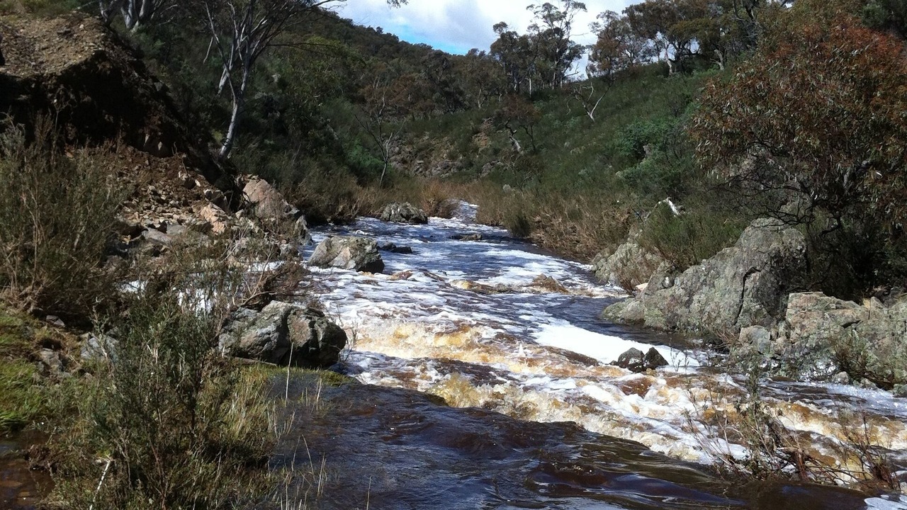 Photo of Others in Berridale