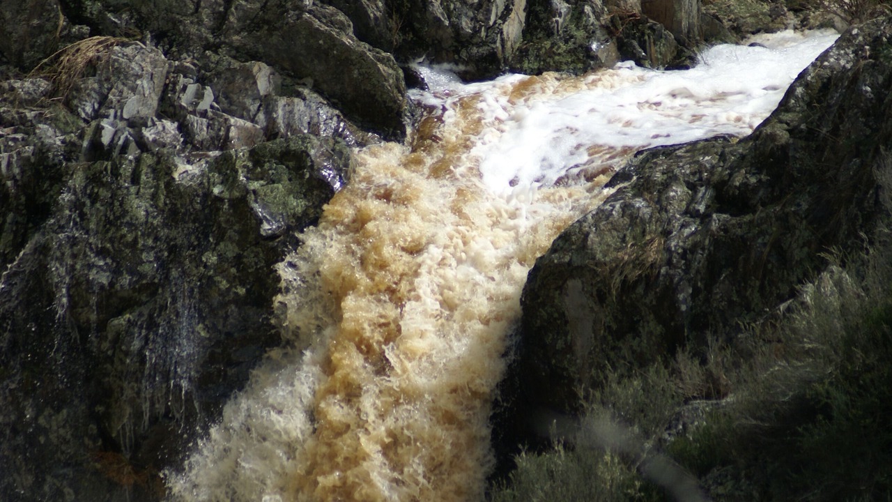 Photo of Others in Berridale