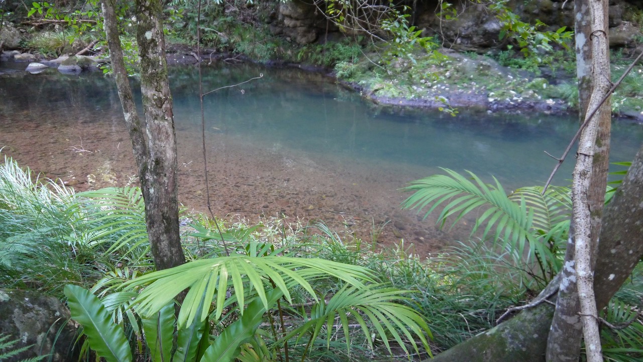 Photo of Outdoor in Cougal