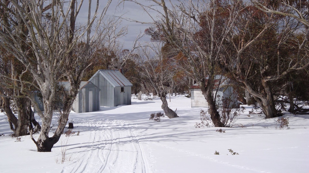 Photo of Others in Mount Beauty