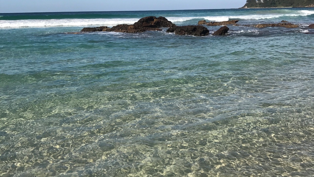 Photo of Others in Narrawallee