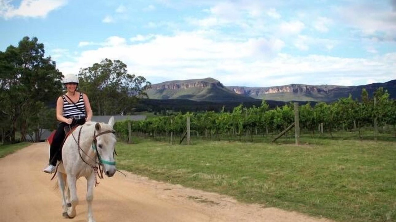 Photo of Outdoor in Megalong Valley