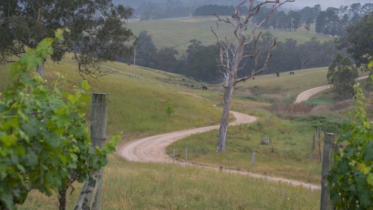Photo of Outdoor in Megalong Valley