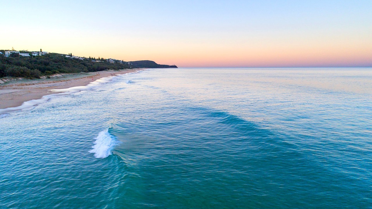 Photo of Others in Sunshine Beach