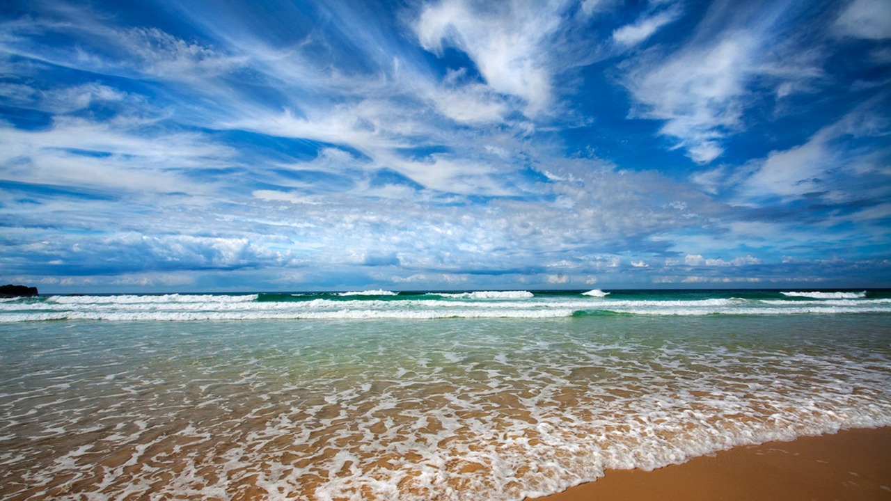 Photo of Others in Sunshine Beach