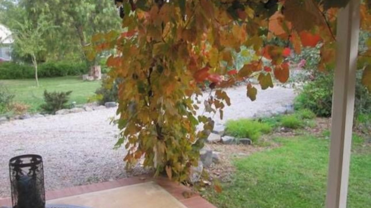 Photo of Outdoor in Upper Wakefield