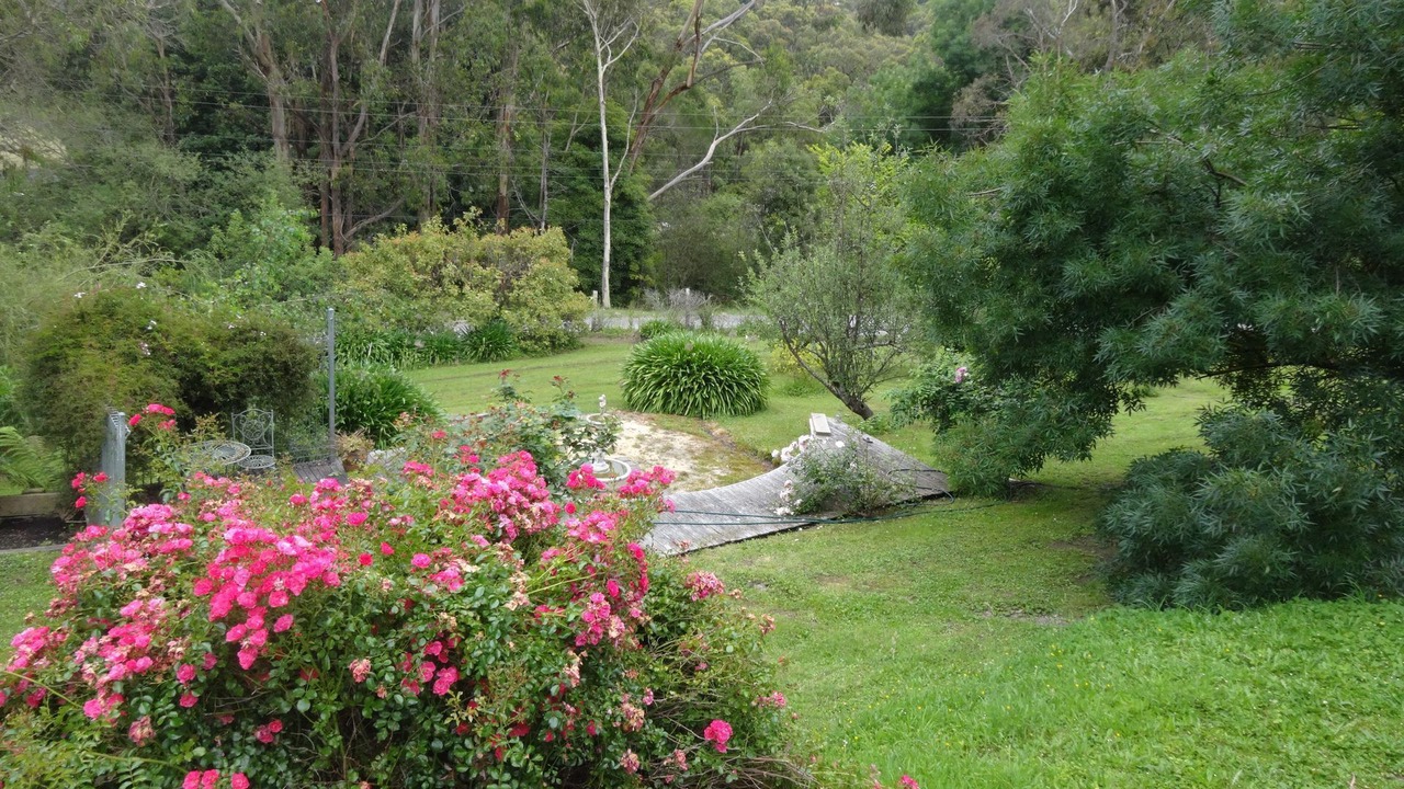 Photo of Outdoor in Mount Evelyn