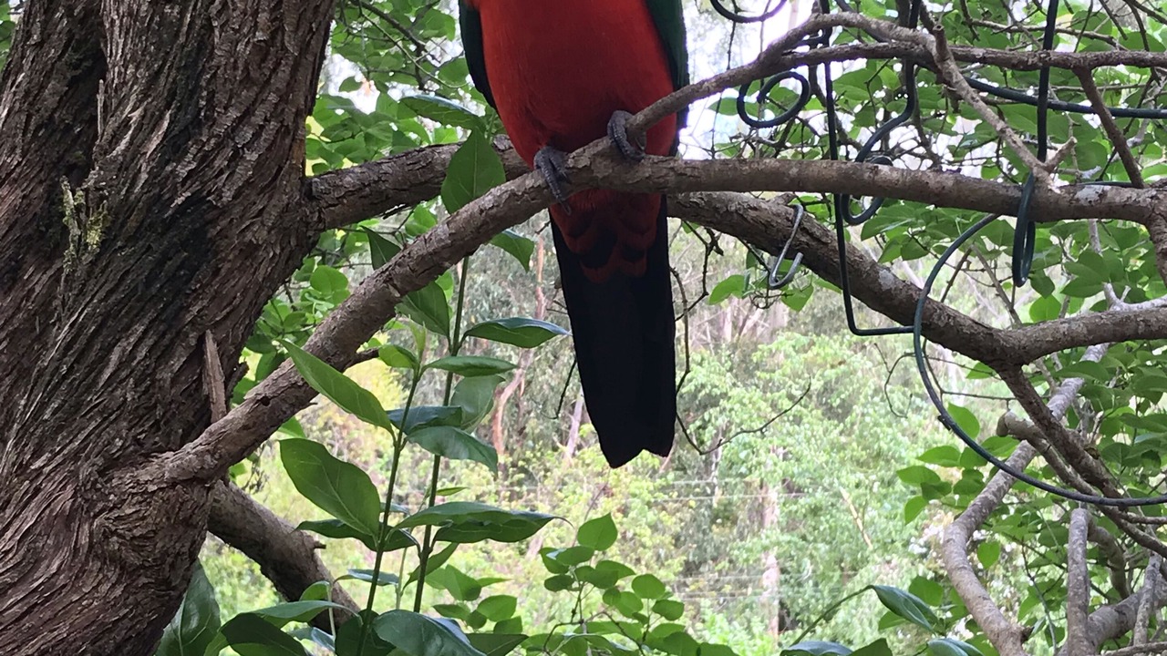 Photo of Others in Mount Evelyn