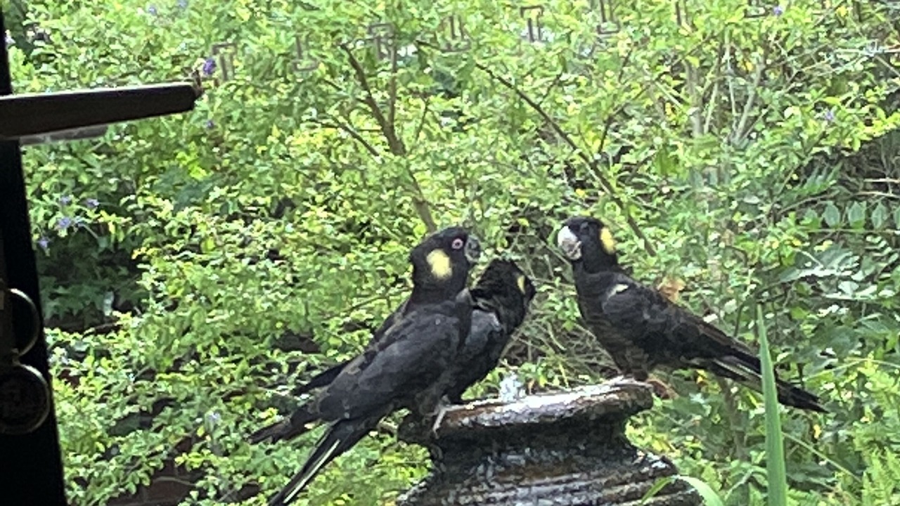 Photo of Others in Mount Evelyn