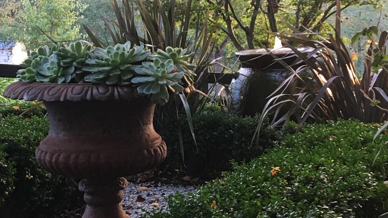 Photo of Outdoor in Emerald