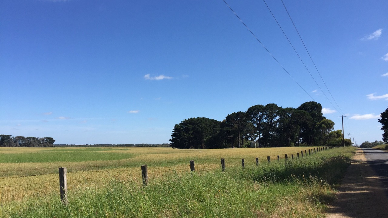 Photo of Outdoor in Birregurra