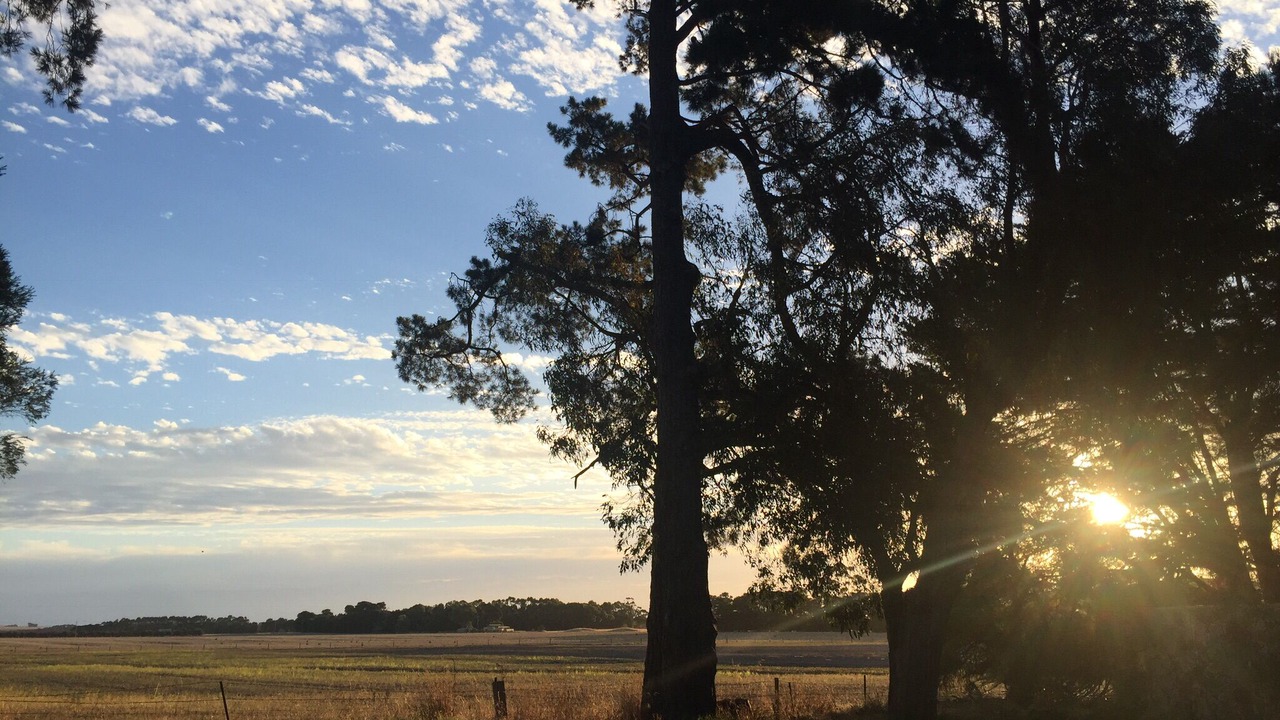 Photo of Outdoor in Birregurra